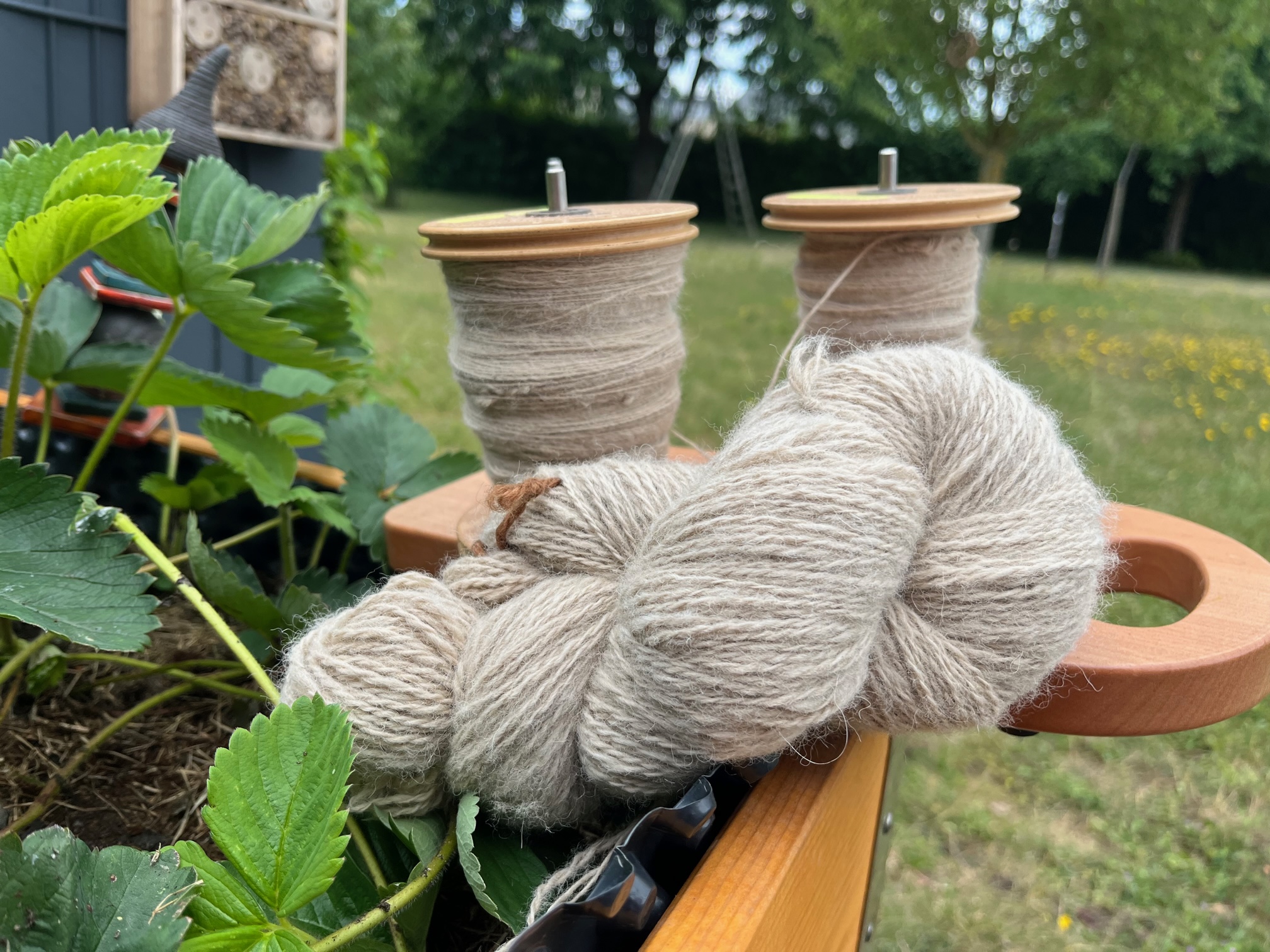 Bobines et écheveaux de laine filée à la WollMillen